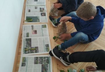 Nometne bērniem “Es un mana ģimene šai pasaulē zaļā”