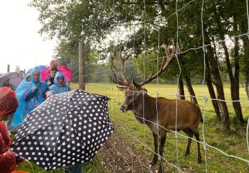 Norisinājies “Kopīgs rudens izbraukums” uz Siguldu