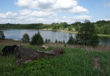 Atklāta Trejdeviņu sajūtu sala - Kaldabruņa