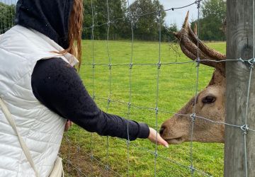 Norisinājies “Kopīgs rudens izbraukums” uz Siguldu