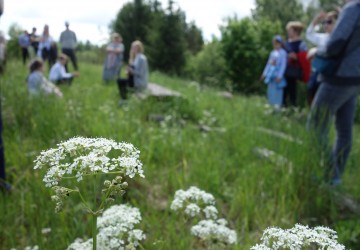 Atklāta Trejdeviņu sajūtu sala - Kaldabruņa