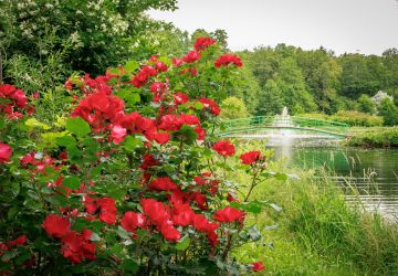 Ģimenes vienoti piedzīvojumā: Zasā noticis pasākums “Apslēptos dārgumus meklējot”