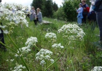 Atklāta Trejdeviņu sajūtu sala - Kaldabruņa
