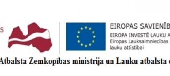 Semināra LEADER projektu potenciālajiem iesniedzējiem „Kā sagatavot projektu pieteikumus  LEADER  programmas  2019.gada projektu konkursam”
