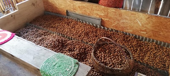 Triju Sēlijas lauku partnerību kopīgi īstenotajā projektā “Sēlijas salas” sācies otrais īstenošanas gads