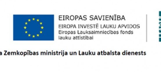 Lauku partnerības „Sēlija” suvenīru izstrādes, nolikums