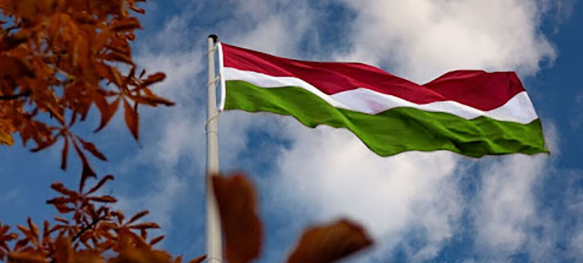 Ievēlēta biedrības” Sēlijas asociācijas” valde